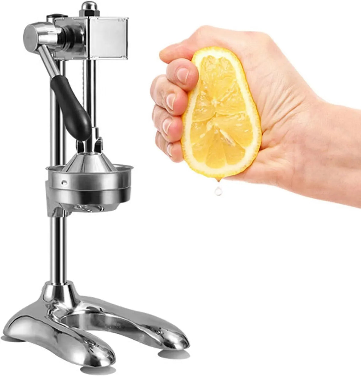 Extracteur de jus, professionnel, vert, presse-agrumes et extracteur